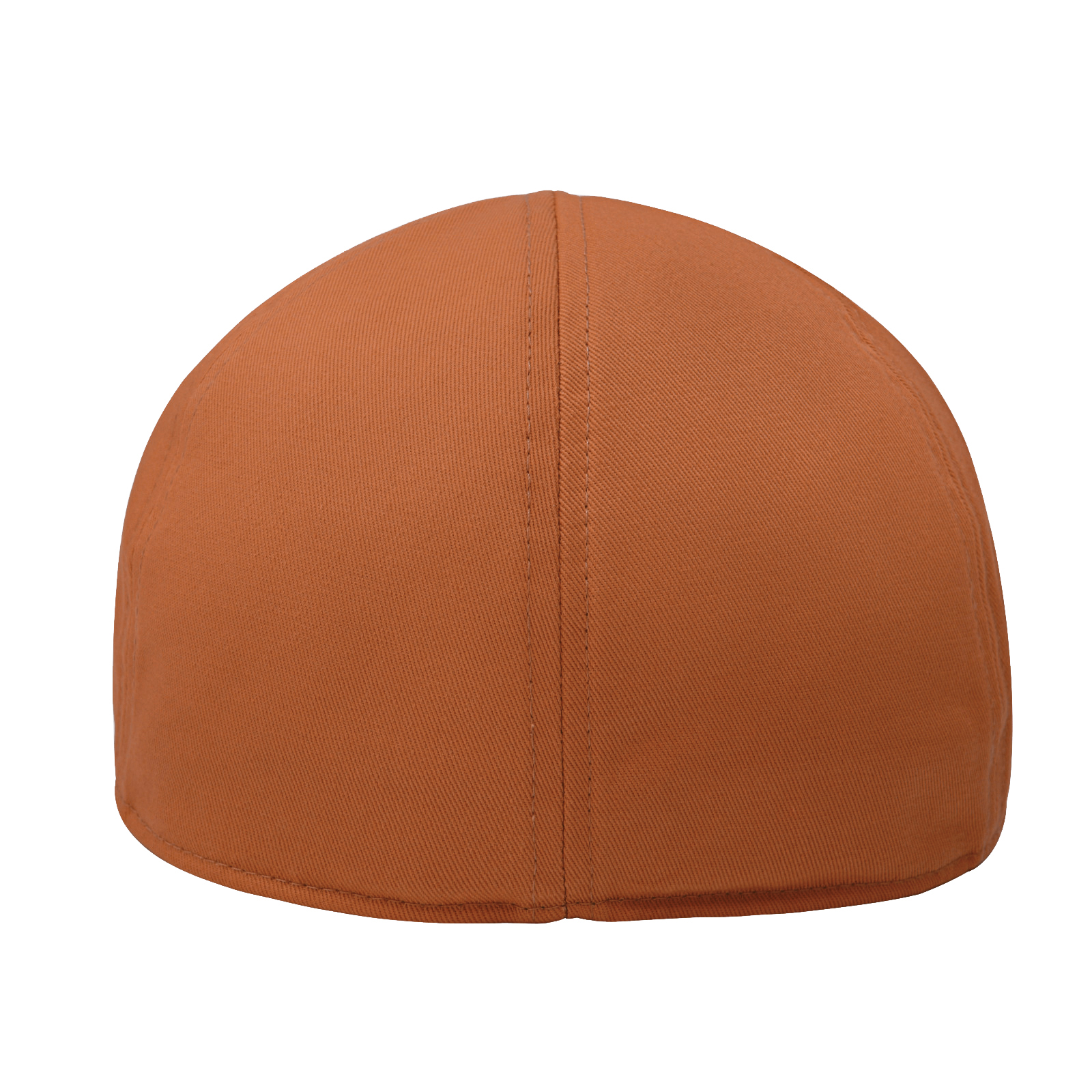 STARANCE Men's Classic Cotton  - Newsboy Cap Ivy 리뷰 및 가격