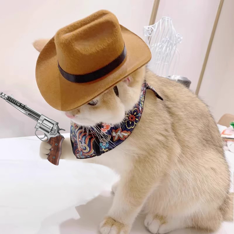  Cat Cowboy Hat Pet Head Acce - Cowboy Hat Straw 리뷰 및 가격