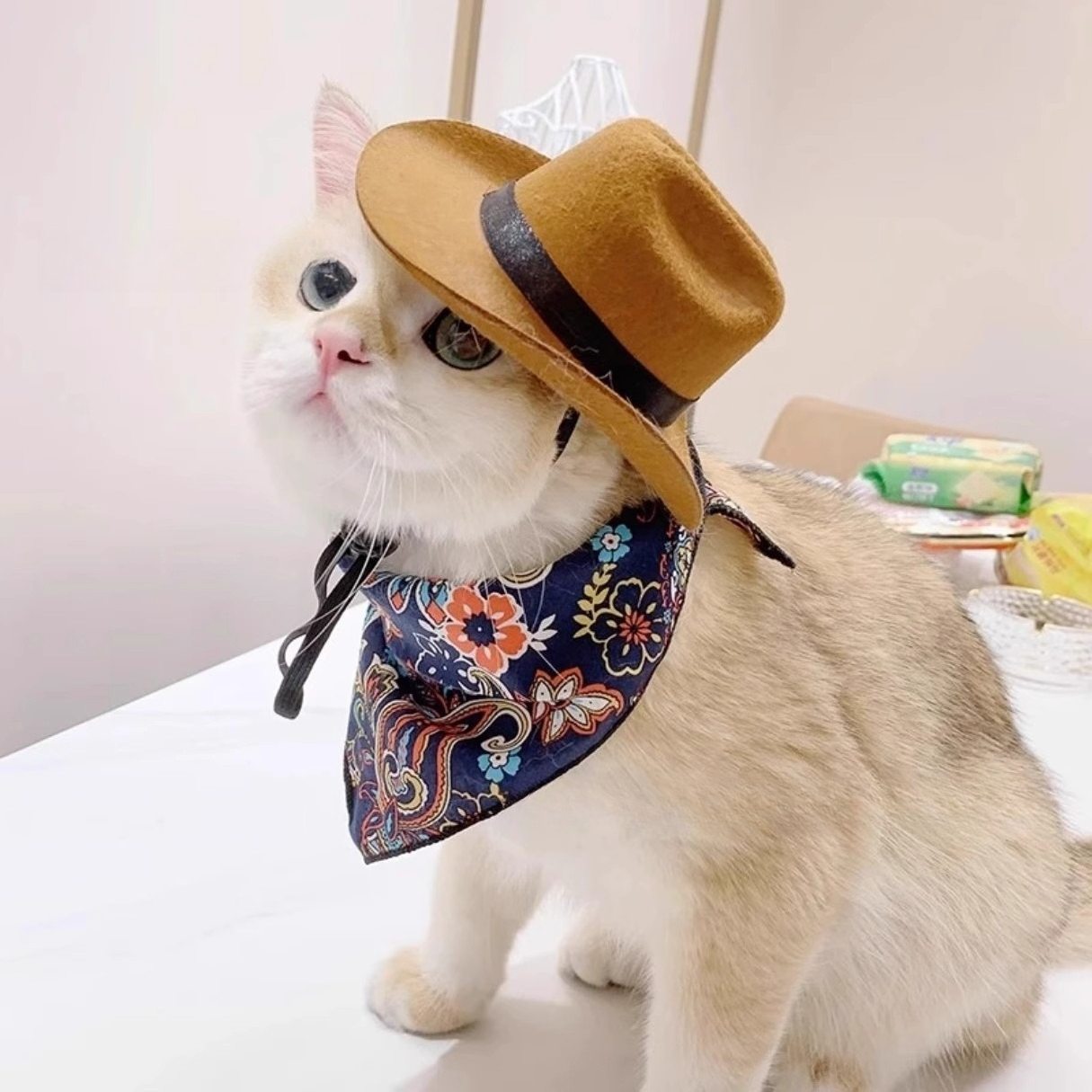  Cat Cowboy Hat Pet Head Acce - Cowboy Hat Straw 리뷰 및 가격