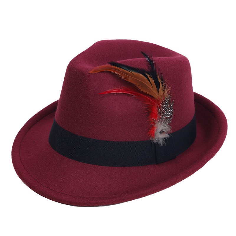 Hot-Selling Feather Top Hat Br - Fedora Hat Wool 리뷰 및 가격